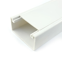 茉冉 塑料线槽 100*50mm/米