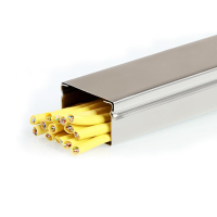 茉冉 不锈钢线槽 100*50mm/米