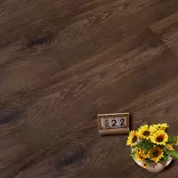 茉冉 木地板 913/平方米