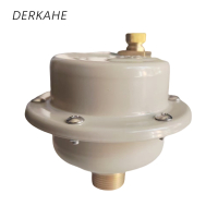 DERKAHE 排气阀 B725X-6C DN25 个