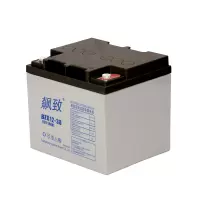 飙致 蓄电池 BZG12-38 支