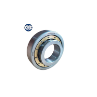 SKSM圆柱滚子轴承NJ2213EM