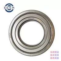 SKSM深沟球轴承6309ZZECM