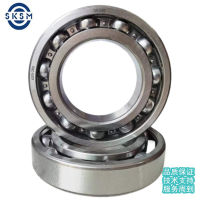 SKSM深沟球轴承6205DDUCM