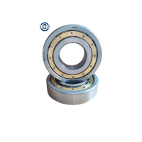 SKSM圆柱滚子轴承NJP2226