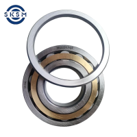 SKSM圆柱滚子轴承3E22317QT