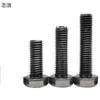 志浪 六角头螺栓20*110 个