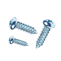 志浪 镀锌半圆头自攻钉4*12 个