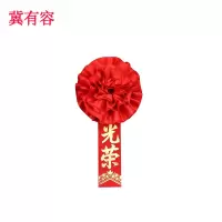 冀有容 宣传表彰胸花 JYR-009 个
