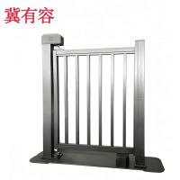 冀有容 电动小门定制款 JYR-D03 套