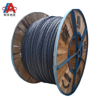 辉昂 交联聚乙烯绝缘铠装电力电缆 YJV22-0.6/1kv 3*400平方 米