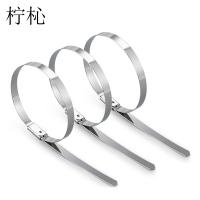 柠杺 不锈钢扎带 19*200mm(50条)包