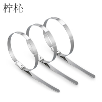 柠杺 不锈钢扎带 10*550mm(100条装)包