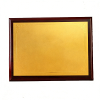 华夏京铁城 奖牌 常规款 个