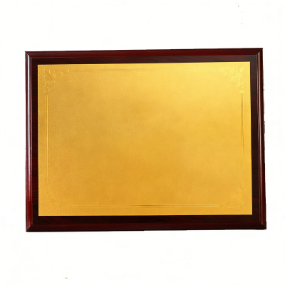 华夏京铁城 奖牌 常规款 个