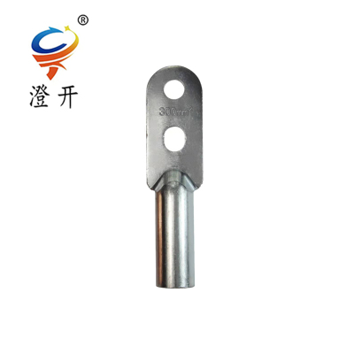 澄开 镀锡双孔铜鼻子接线端子 DTS-300平方/个