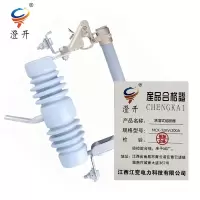 澄开 跌落式熔断器 NCX-12KV/200A/只