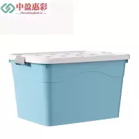 中盈惠彩 收纳箱 SNX-03 55*41*35cm 个