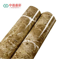 中盈惠彩 贴纸 TZ094 1*1m 平方米