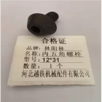 林阳林 内五角螺栓 12*31 个