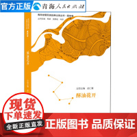 酥油花开龙仁青著 青海世居民族经典记录丛书藏族卷 青海藏族风土人情民间民俗历史文化书中国现当代文学青春励志散文随笔书籍