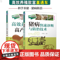 正版 高效养高产母猪+猪病快速诊断与防治技术 养猪技术书籍 母猪养殖技术大全 养猪实用养猪新技术 育肥出栏 猪病诊断与治