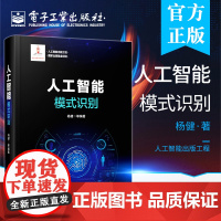 人工智能:模式识别 国家出版基金项目 人工智能出版工程系列图书 杨健 等著 科技通信网络信号信息处理书籍