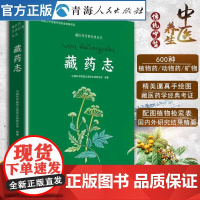 藏药志藏汉对照( 新老版本随机发货)藏医药学的经典著作 藏药百科全书中国藏药材大全 藏药古本经典图鉴 藏药专著 医学书籍