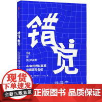 [正版书籍]错觉:AI如何通过数据挖掘误导我们