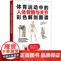 体育运动中的人体骨骼与关节彩色解剖图谱 (日)松村天裕 著 (日)竹内修二 编 刘晓航 译 体育运动(新)文教 正版图书