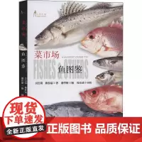 菜市场鱼图鉴 吴佳瑞,赖春福 著 科普读物其它生活 正版图书籍 商务印书馆