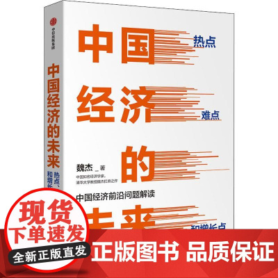 中国经济的未来 热点 难点和增长点 魏杰 著 中国经济/中国经济史经管、励志 正版图书籍 中信出版社