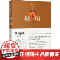 琥珀 海飞,赵晖 著 侦探推理/恐怖惊悚小说文学 正版图书籍 花城出版社