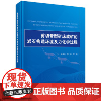 剪切带型矿床成矿的岩石构造环境及力化学过程 自然科学 科学出版社 正版书籍