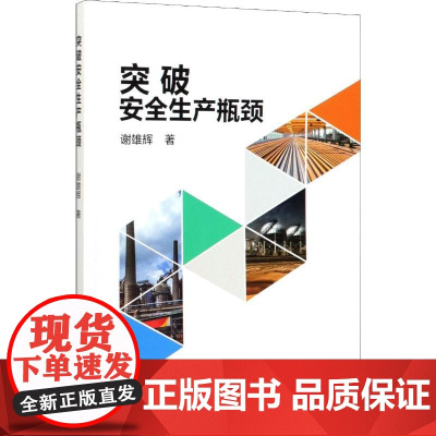 突破安全生产瓶颈 谢雄辉 著 环境科学生活 正版图书籍 冶金工业出版社