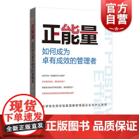 正版 正能量 如何成为卓有成效的管理者 知名商学院教授解密德国企业高效 提高创新力 心理学医学组织科学 格致出版社