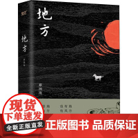 地方 蔡测海 著 其它小说文学 正版图书籍 湖南文艺出版社