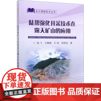 陡帮强化开采技术在露天矿山的应用 杨飞 等 著 工业技术其它专业科技 正版图书籍 冶金工业出版社