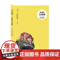 2020年新书 孤独的美洲狮 沈石溪动物小说小学生三四五六年级指定课外阅读书9-16岁暑假读一本好书儿童文学作品 明天出