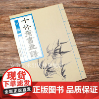 十竹斋书画谱 竹谱 国画绘画技法 基础入门教材教程 临摹范本 国画教材临摹技法 名家作品集珍藏 双面印刷 安徽美术出版社