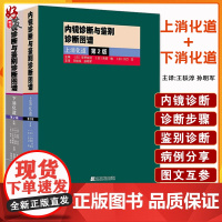 正版 内镜诊断与鉴别诊断图谱 上消化道+下消化道 第2版 多田正大 日芳野纯治 胃镜诊断图谱 消化内镜医学 上消化道内镜