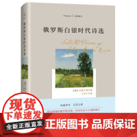 正版RT 俄罗斯白银时代诗选 叶赛宁 等 文学 诗歌词曲 其他品牌 四川文艺出版社 9787541148385