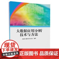 [正版书籍]大数据应用分析技术与方法