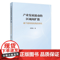 [正版书籍]产业发展波动的区域间扩散——基于超网络视角的研究