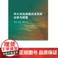 [正版书籍]中小河流溃堤洪水风险分析与预警