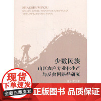 [正版书籍]少数民族山区农户专业化生产与反贫困路径研究