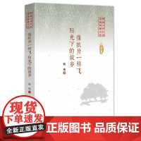 [正版书籍]像纸片一样飞·阳光下的故乡(中国专业作家小说典藏文库)