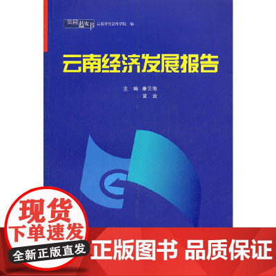 [正版书籍]云南蓝皮书·2010~2011 云南经济发展报告