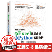 [正版书籍]数据荒岛求生——从Excel数据分析到Python数据分析