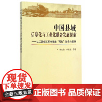 [正版书籍]中国县域信息化与工业化融合发展探索